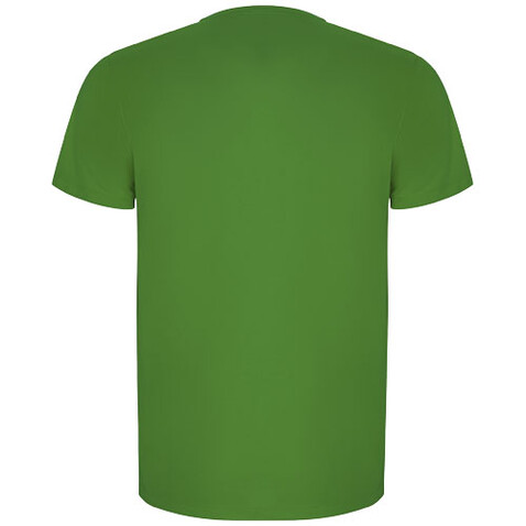 Imola Sport T-Shirt für Kinder, Green Fern bedrucken, Art.-Nr. K04275DD