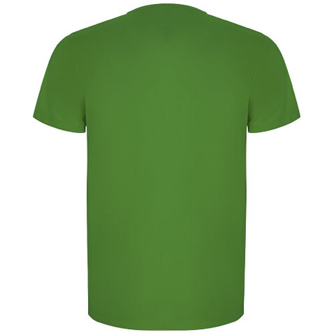 Imola Sport T-Shirt für Herren, farngrün bedrucken, Art.-Nr. R04275D1