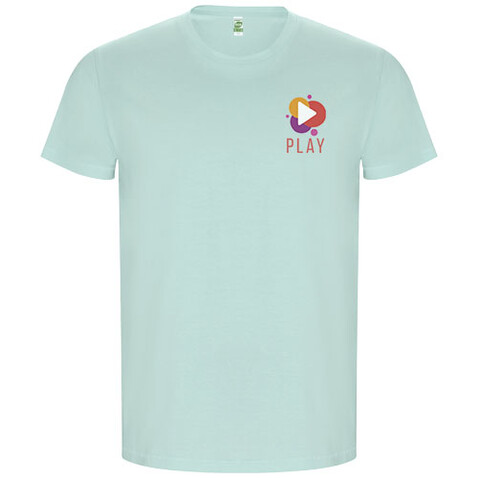 Golden T-Shirt für Herren, mintgrün bedrucken, Art.-Nr. R66903B4