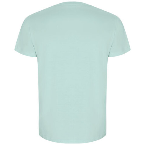 Golden T-Shirt für Herren, mintgrün bedrucken, Art.-Nr. R66903B4