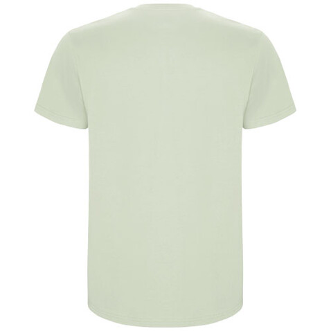 Stafford T-Shirt für Herren, Mist Green bedrucken, Art.-Nr. R66815Q1