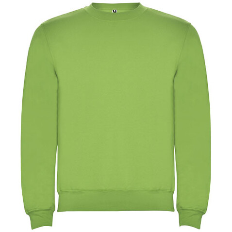 Clasica Sweatshirt mit Rundhalsausschnitt für Kinder, Oasis Green bedrucken, Art.-Nr. K10705RL