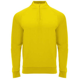 Epiro Half-Zip Sweatshirt Unisex, gelb bedrucken, Art.-Nr. R11151B1