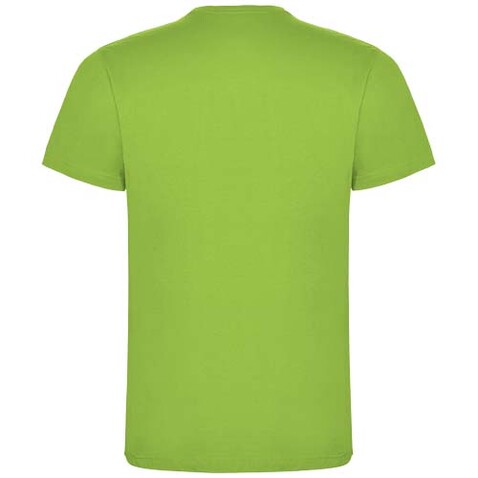Dogo Premium T-Shirt für Kinder, Oasis Green bedrucken, Art.-Nr. K65025RG