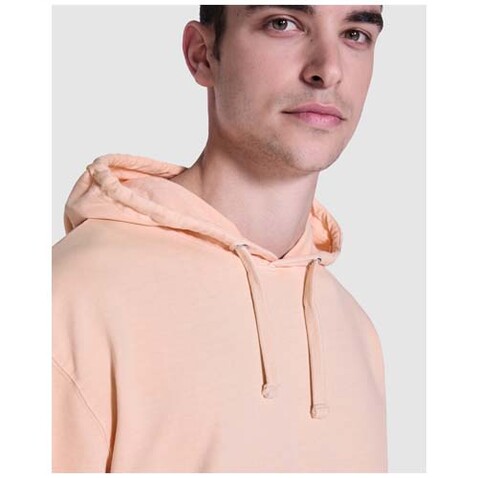 Kenia Kapuzenpullover Unisex, grau bedrucken, Art.-Nr. R2204E10 Kenia Kapuzenpullover Unisex, grau bedrucken, Art.-Nr. R2204E10