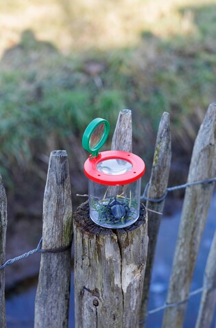 Vergrößerungsglas Sunlit – Hellgrün bedrucken, Art.-Nr. 029999999_1454842 Vergrößerungsglas Sunlit – Hellgrün bedrucken, Art.-Nr. 029999999_1454842