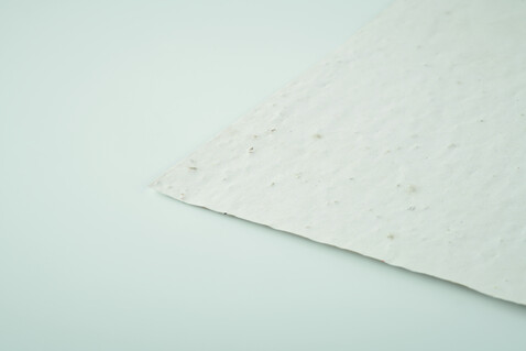 DIN A6 Wildblumen-Samenpapier - Weiß bedrucken, Art.-Nr. MO6916-06