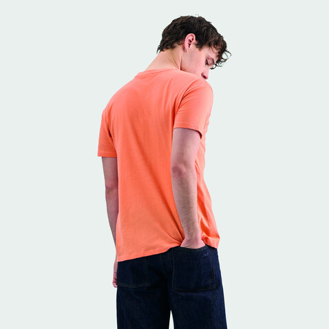 REGENT Uni T-Shirt 150g - Apricot bedrucken, Art.-Nr. S11380-AT-3XL REGENT Uni T-Shirt 150g - Apricot bedrucken, Art.-Nr. S11380-AT-3XL