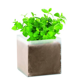 Pflanz-Set &amp;quot;Minze&amp;quot; - Beige bedrucken, Art.-Nr. MO9546-13