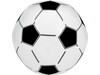 Aufblasbarer Wasserball 'Champion' aus PVC – Weiß bedrucken, Art.-Nr. 002999999_9655