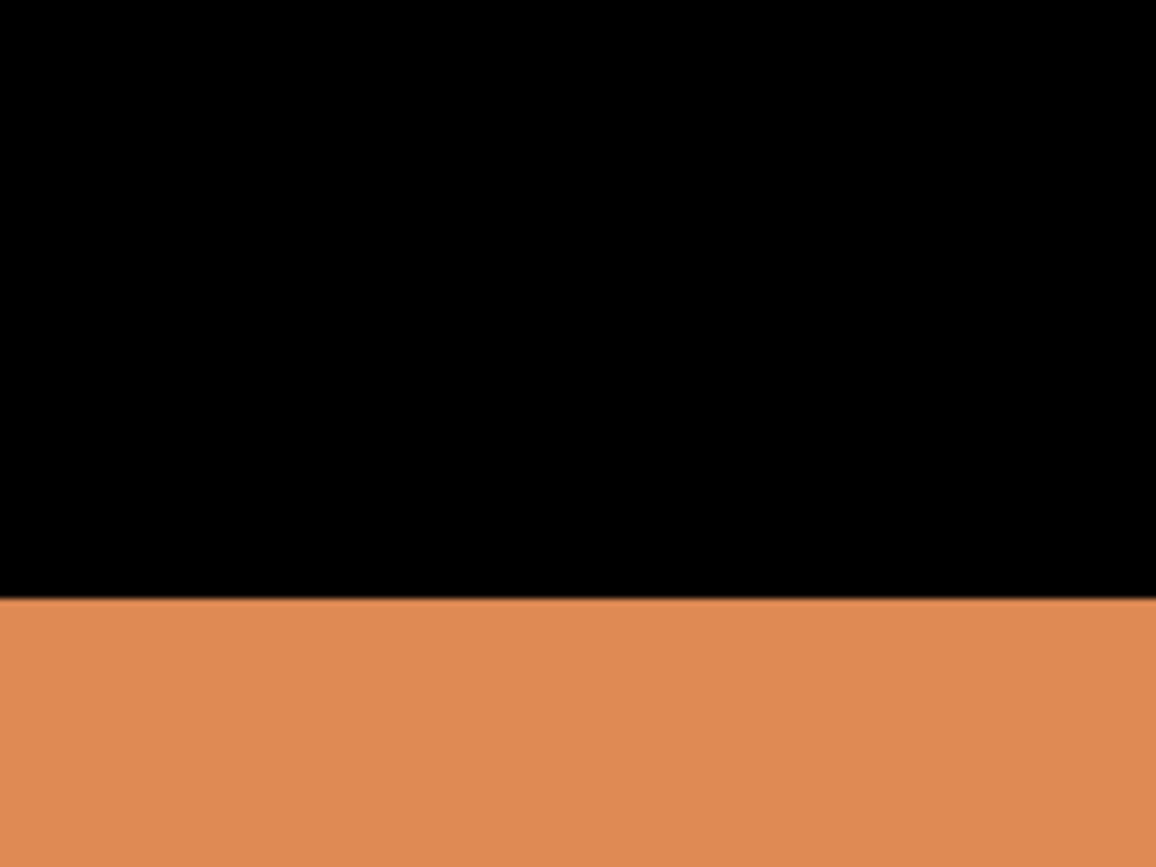 Kustom Kit Women`s Regular Fit Cooltex® Contrast Tee, Black/Fluorescent Orange, XL bedrucken, Art.-Nr. 002111685