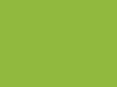 Stedman Sports-T, Kiwi Green, L bedrucken, Art.-Nr. 035055255