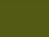 BabyBugz Baby T-Shirt, Light Olive Organic, 18-24 bedrucken, Art.-Nr. 047475295