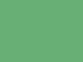 Result Caps Boston 5-Panel Printers Cap, Apple Green, One Size bedrucken, Art.-Nr. 084345220
