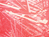 Regatta Asana Bra Top, Hot Pink Print, 10 (36) bedrucken, Art.-Nr. 096174203