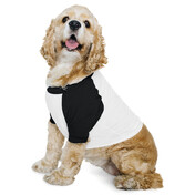 American Apparel Dog Poly-Cotton 3/4 Sleeve Raglan T-Shirt bedrucken, Art.-Nr. 13307 American Apparel Dog Poly-Cotton 3/4 Sleeve Raglan T-Shirt bedrucken, Art.-Nr. 13307