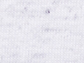 Bella Unisex Triblend Short Sleeve Tee, White Fleck Triblend, S bedrucken, Art.-Nr. 142060693