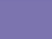 SG Signature Tagless Tee Kids, Aster Purple, 140 (9-10/XL) bedrucken, Art.-Nr. 172523486