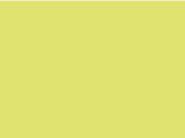 B &amp; C #organic inspire E150, Lime, 2XL bedrucken, Art.-Nr. 001425195