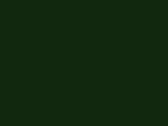 B &amp; C #organic inspire E150, Forest Green, L bedrucken, Art.-Nr. 001425413