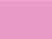 Quadra Water Bottle And Holder, Classic Pink, One Size bedrucken, Art.-Nr. 046304200
