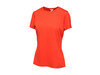 Regatta Women`s Torino T-Shirt, Classic Red, 20 (46) bedrucken, Art.-Nr. 079174018