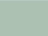 B &amp; C Inspire Hooded /women, Sage, XL bedrucken, Art.-Nr. 231425326