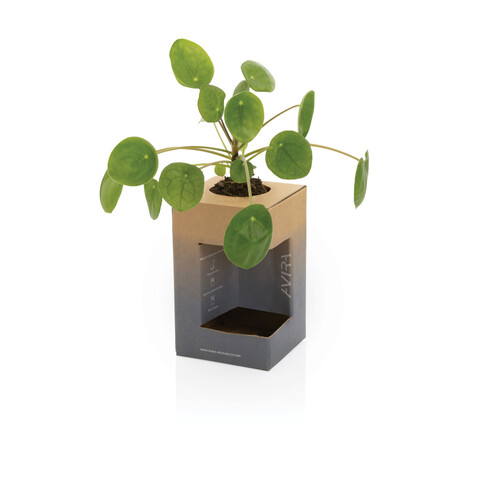 Avira Alya RCS recycelter Stainless-Steel Becher 300ml blau bedrucken, Art.-Nr. P438.025